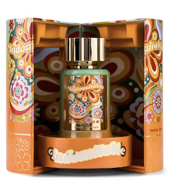 Capture d’écran 2025-11-03 à 18.38.56 Indomnitable